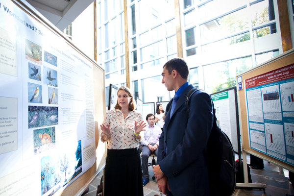 Undergraduate Research